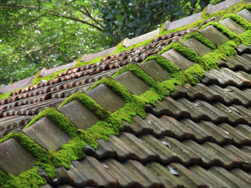Démoussage de toiture dans le Var